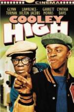 Watch Cooley High Megashare
