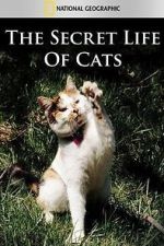 Watch The Secret Life of Cats Megashare