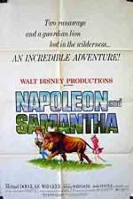Watch Napoleon and Samantha Megashare