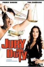 Watch Jury Duty Megashare