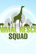Watch Animal Rescue Squad Megashare