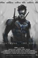nightwing: the series tv poster