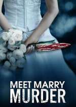 meet marry murder tv poster