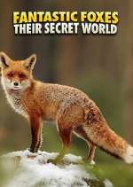fantastic foxes: their secret world tv poster