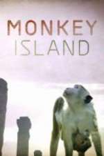 Watch Monkey Island Megashare
