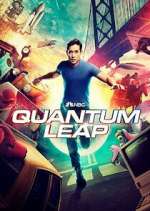 Watch Megashare Quantum Leap Online