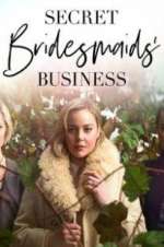 Watch Secret Bridesmaids\' Business Megashare