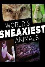 Watch World's Sneakiest Animals Megashare