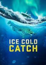 ice cold catch tv poster