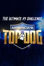 Watch America\'s Top Dog Megashare