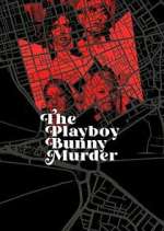 the playboy bunny murder tv poster