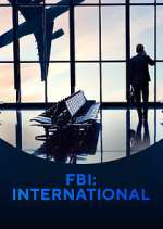 Watch Megashare FBI: International Online
