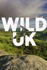 Watch Wild UK Megashare
