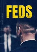 feds tv poster