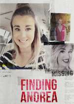 finding andrea tv poster