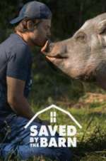 Watch Saved by the Barn Megashare