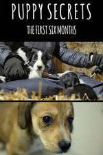 Watch Puppy Secrets: The First Six Months Megashare
