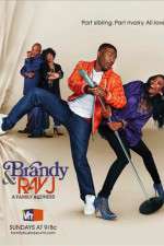 Watch Brandy and Ray J: A Family Business Megashare