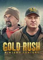 gold rush: winter's fortune tv poster