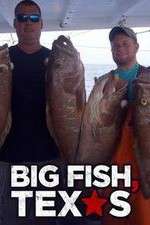 Watch Big Fish Texas Megashare