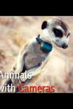 Watch Animals with Cameras Megashare