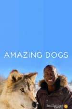 Watch Amazing Dogs Megashare