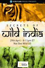 Watch Secrets of Wild India Megashare