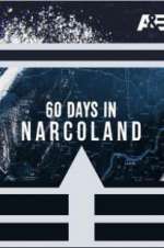 60 days in: narcoland tv poster