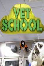 Watch Vet School Megashare