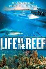 Watch Life on the Reef Megashare