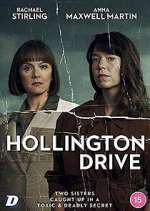 hollington drive tv poster