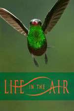 Watch Life in the Air Megashare