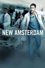 Watch New Amsterdam Megashare