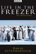 Watch Life in the Freezer Megashare