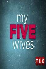 Watch My Five Wives Megashare