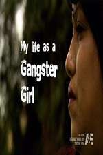 my life as a gangster girl tv poster