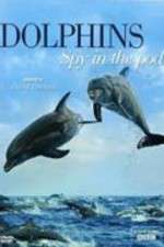 Watch Dolphins: Spy in the Pod Megashare