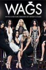 wags tv poster