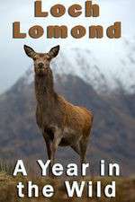 Watch Loch Lomond: A Year in the Wild Megashare