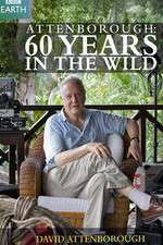 Watch Attenborough 60 Years in the Wild Megashare