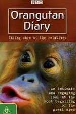 orangutan diary tv poster