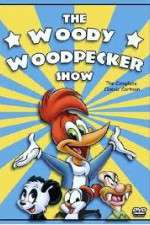 the woody woodpecker show tv poster