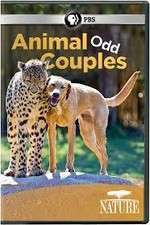 Watch Animal Odd Couples Megashare