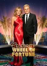 celebrity wheel of fortune tv poster