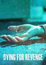 dying for revenge tv poster