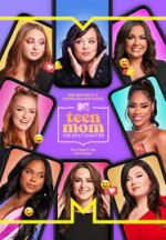 teen mom: the next chapter tv poster