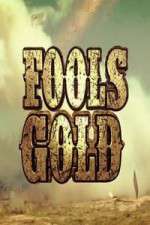 fool's gold tv poster