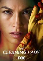 Watch Megashare The Cleaning Lady Online