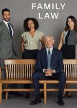 family law tv poster