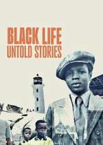 black life: untold stories tv poster